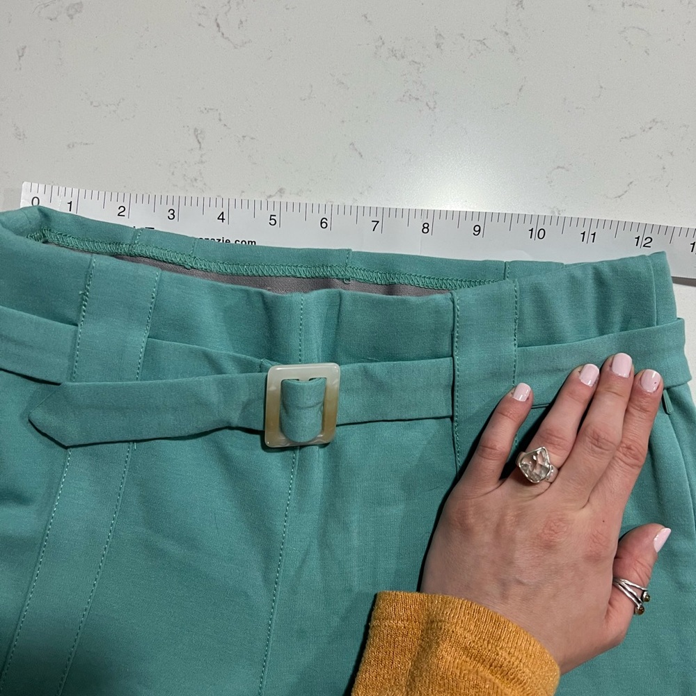 Teal green Betabrand capris